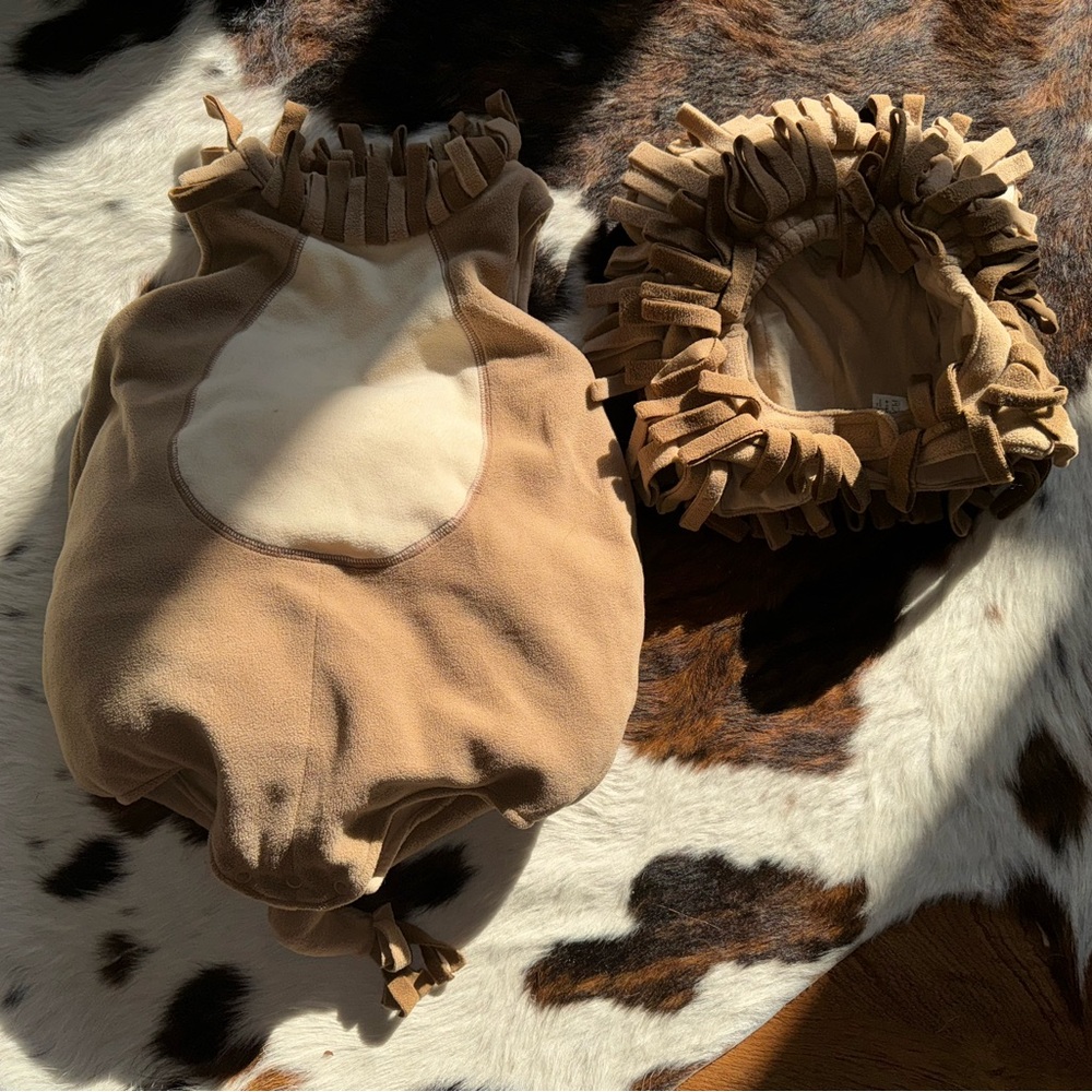 Baby Lion Costume